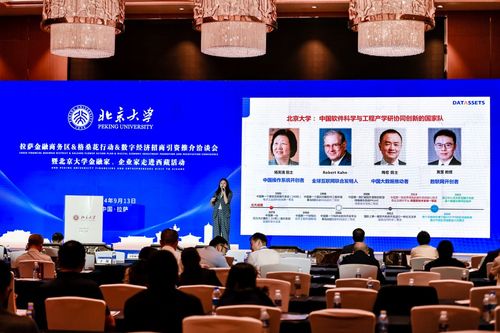 數(shù)字經(jīng)濟新引擎 2024拉薩金融商務(wù)區(qū)格桑花行動招商引資洽談會啟航