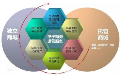 電子商務(wù)專業(yè) 實業(yè)運營與建設(shè)的就業(yè)新藍圖