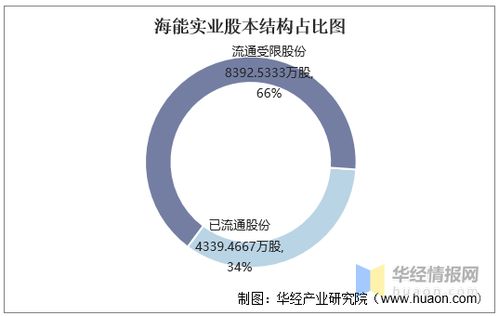 2016與2020年海能實(shí)業(yè)財(cái)務(wù)運(yùn)營(yíng)全景 資產(chǎn)、負(fù)債與盈利分析